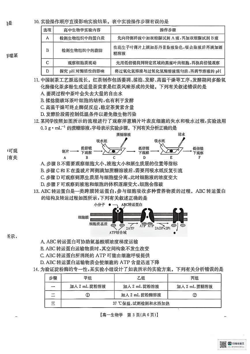 河南省南阳市邓州市十校金太阳联考2025-2026学年高一上学期12月月考生物试题第3页