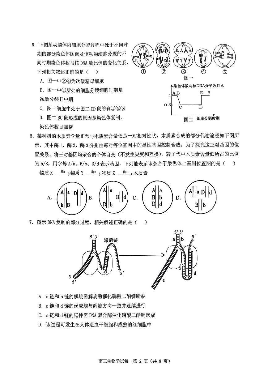 湖北省荆州市石首市第一中学2025-2026学年高三上学期12月月考生物试题第2页