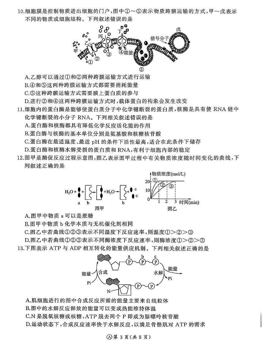 山东省大联考2025-2026学年高一上学期12月月考生物试题第3页