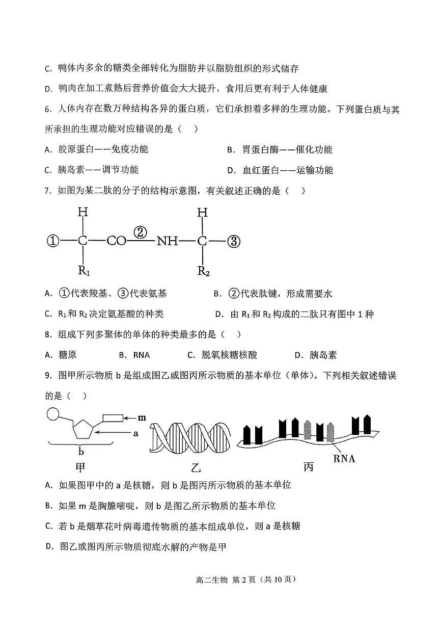 天津市西青区静文中学2025-2026学高一上学期第二次月考生物试题第2页