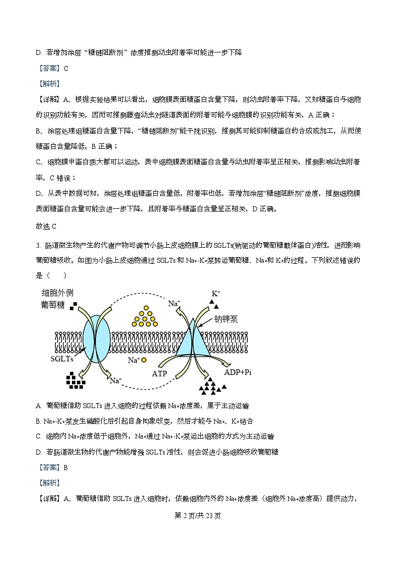 2026届四川省成都市石室中学高三一诊模拟考试生物试题 Word版含解析第2页