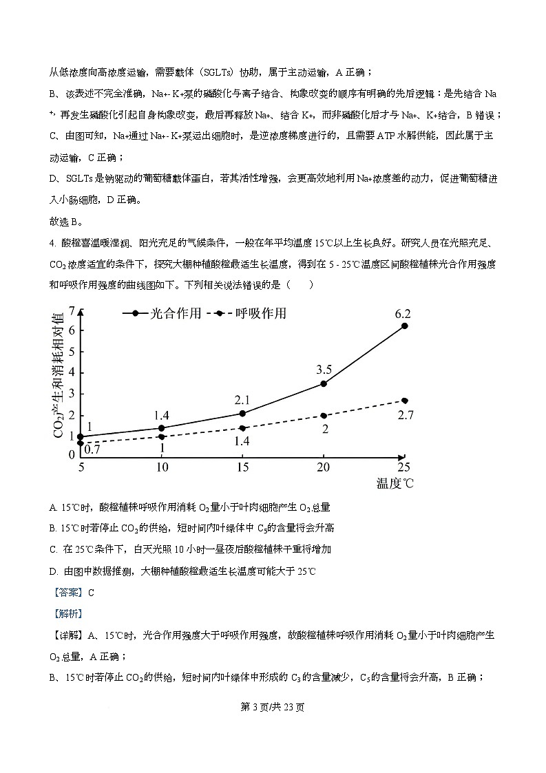 2026届四川省成都市石室中学高三一诊模拟考试生物试题 Word版含解析第3页