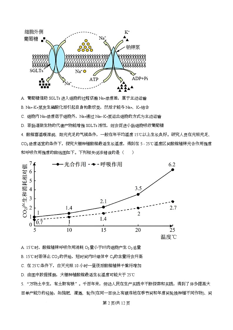 2026届四川省成都市石室中学高三一诊模拟考试生物试题（原卷版）第2页