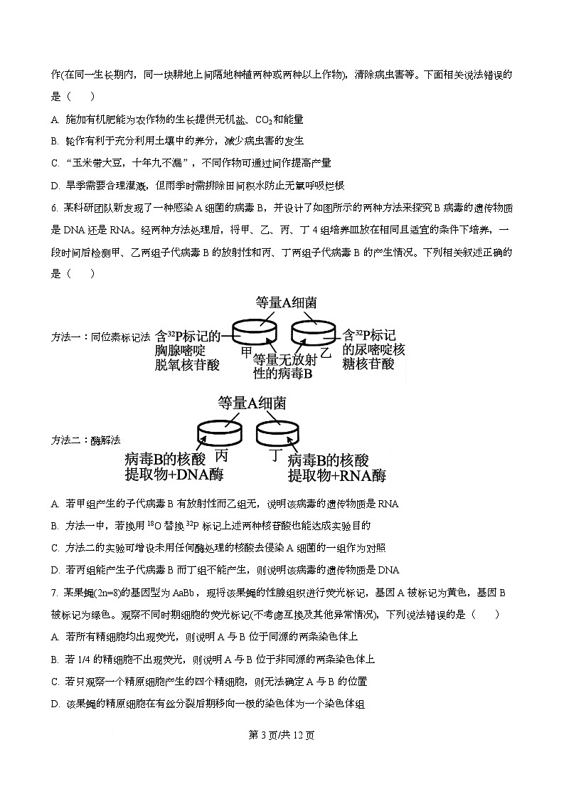 2026届四川省成都市石室中学高三一诊模拟考试生物试题（原卷版）第3页