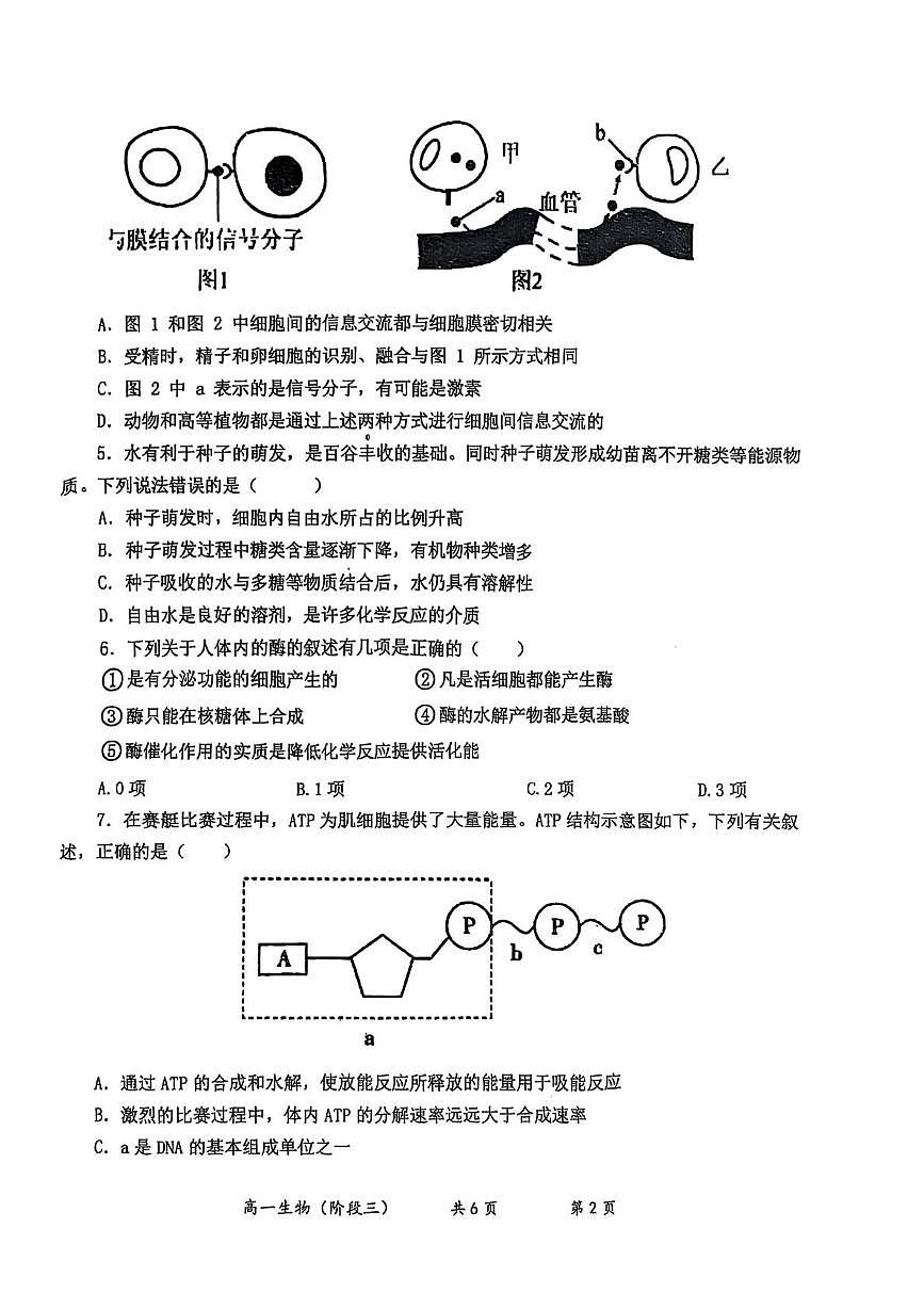 陕西省大荔县大荔中学2025—2026学年高一上学期第三次阶段质量检测生物试题（月考）第2页