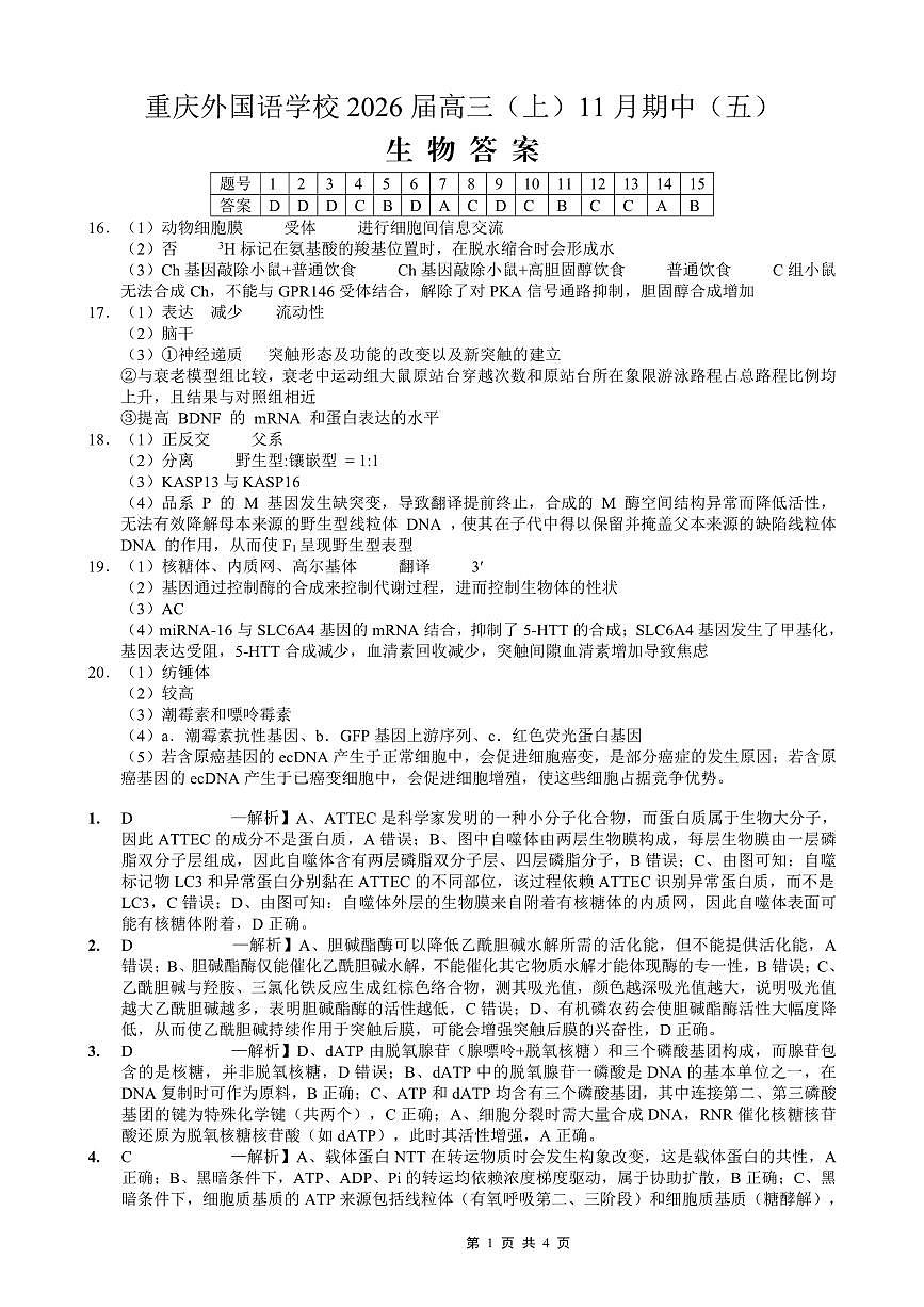 重庆实验外国语学校2025-2026学年度（上）高2026届11月月考（五）生物答案第1页