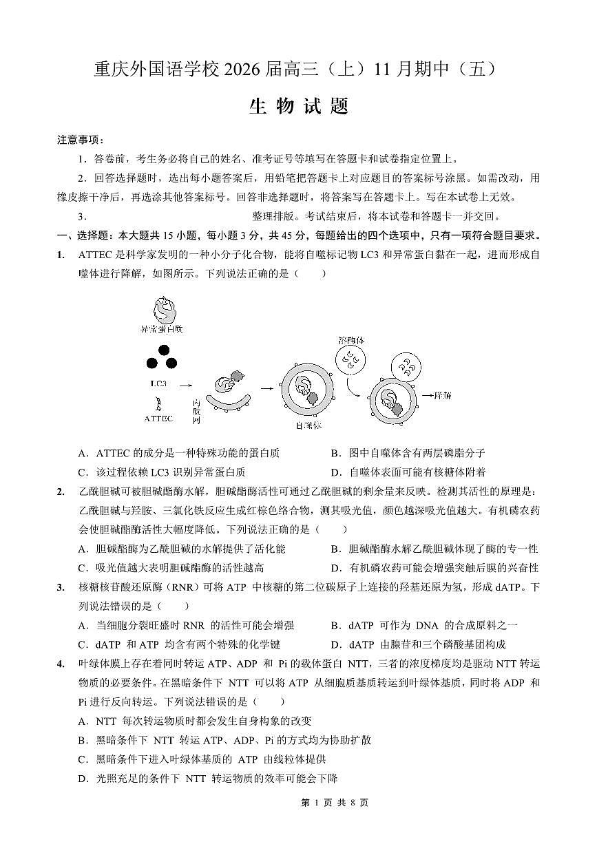重庆实验外国语学校2025-2026学年度（上）高2026届11月月考（五）生物第1页