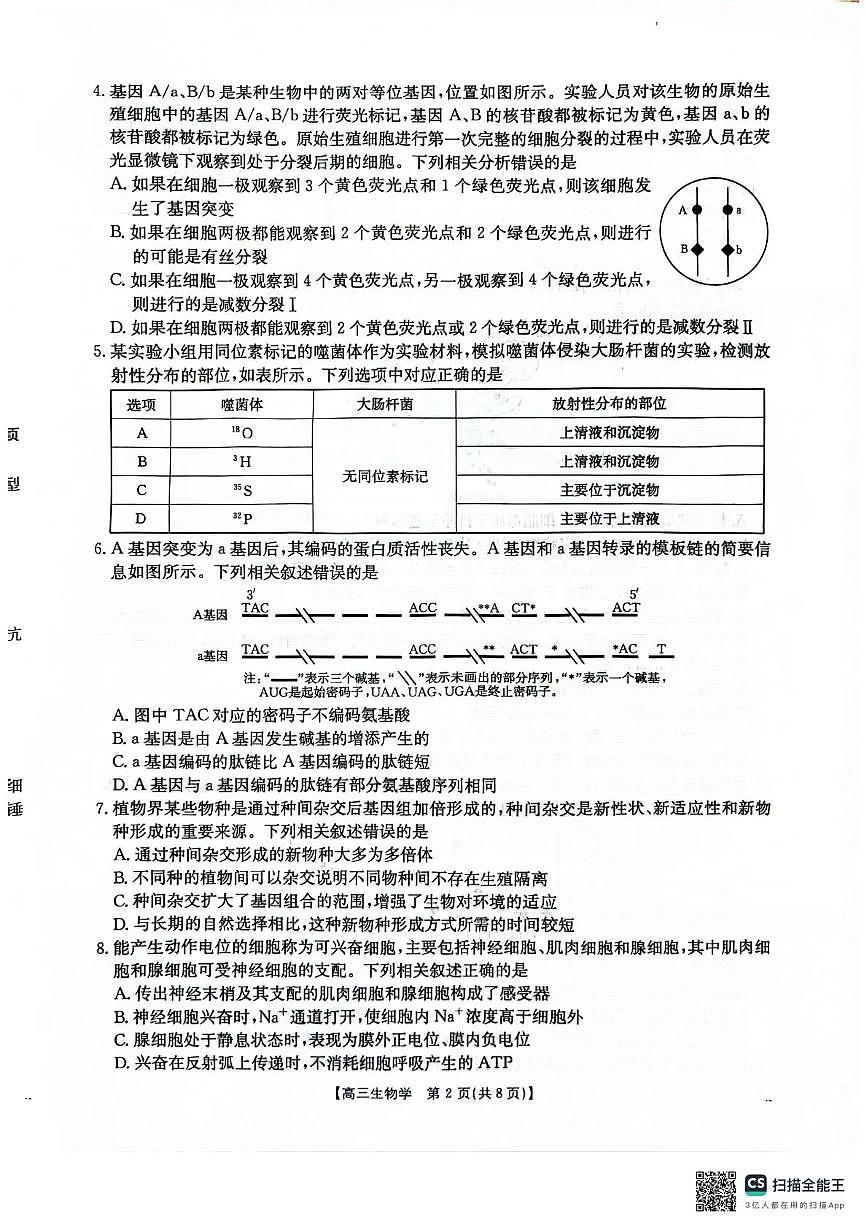 河北省2026届高三上学期12月联考（26-150C）生物第2页
