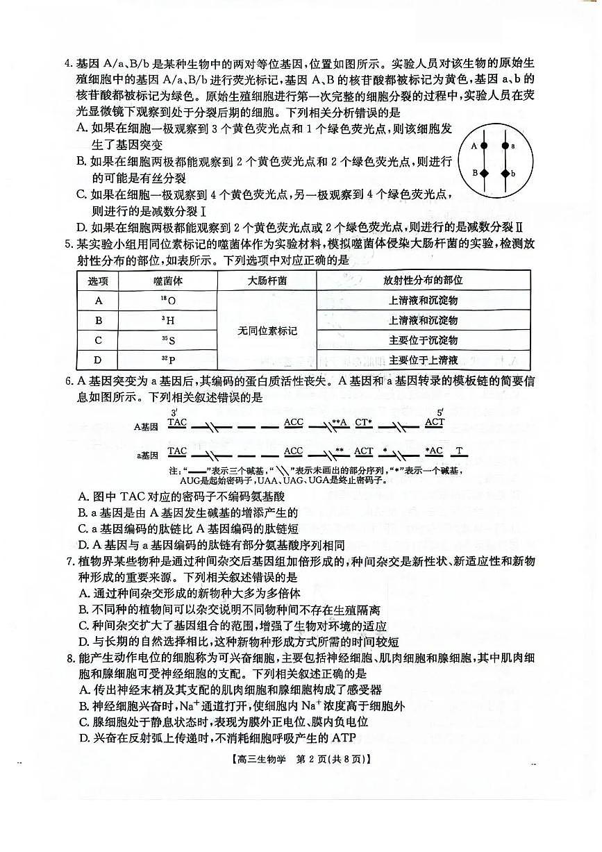 河北省2025-2026学年高三上学期12月联考（26-150C）生物学试卷（含答案）第2页