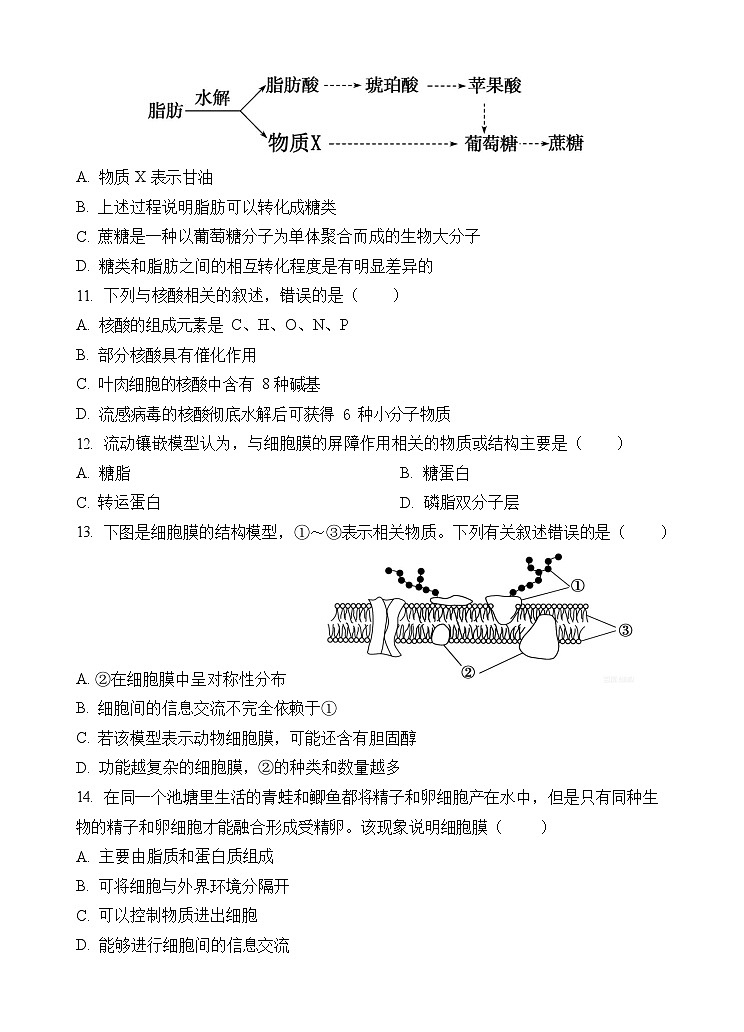 云南省玉溪第一中学2025-2026学年高一上学期12月月考生物试题第3页