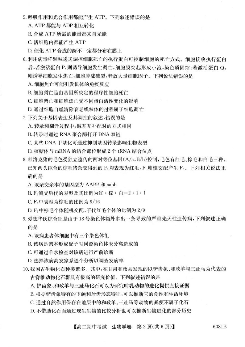 广西南宁市4+N联盟学校2025-2026学年高二上学期期中考试生物试卷第2页