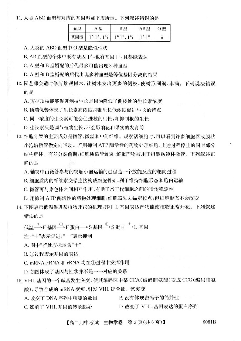 广西南宁市4+N联盟学校2025-2026学年高二上学期期中考试生物试卷第3页