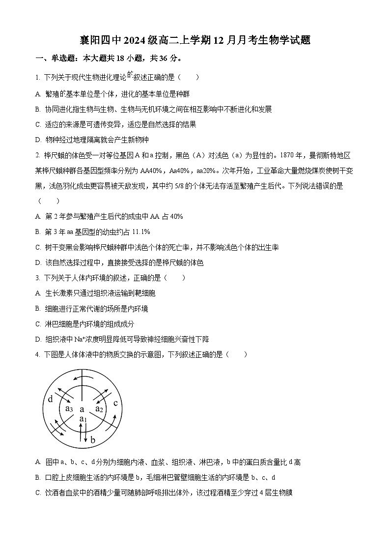 湖北省襄阳市襄城区襄阳市第四中学2025-2026学年高二上学期12月月考生物试题（原卷版）第1页