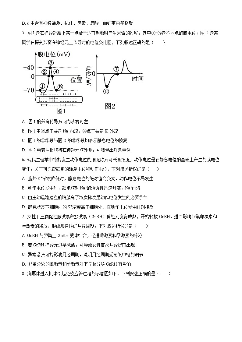湖北省襄阳市襄城区襄阳市第四中学2025-2026学年高二上学期12月月考生物试题（原卷版）第2页