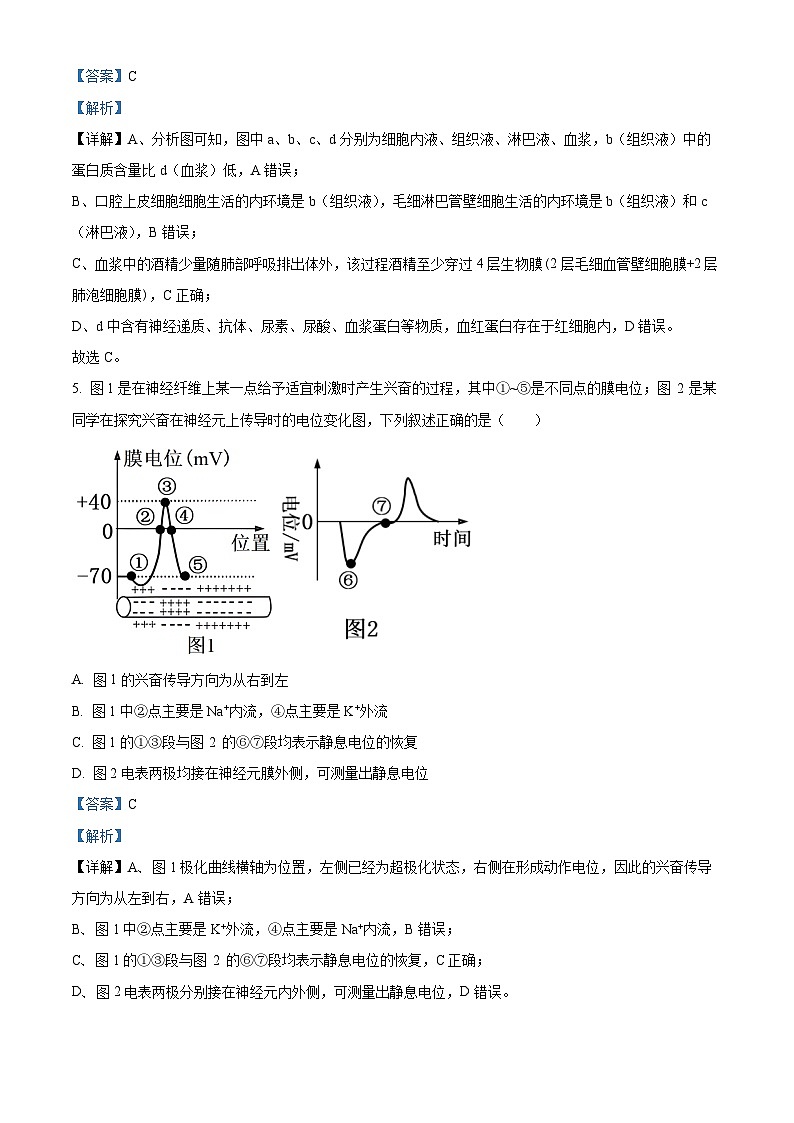 湖北省襄阳市襄城区襄阳市第四中学2025-2026学年高二上学期12月月考生物试题 Word版含解析第3页