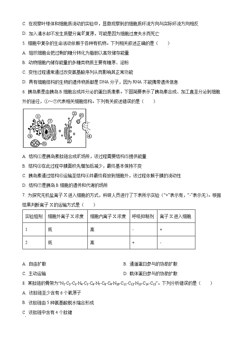 湖南省五市十校2025-2026学年高一上学期12月联考生物试题（原卷版）第2页