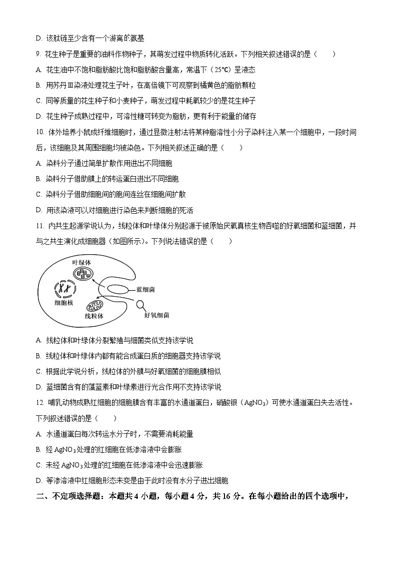 湖南省五市十校2025-2026学年高一上学期12月联考生物试题（原卷版）第3页