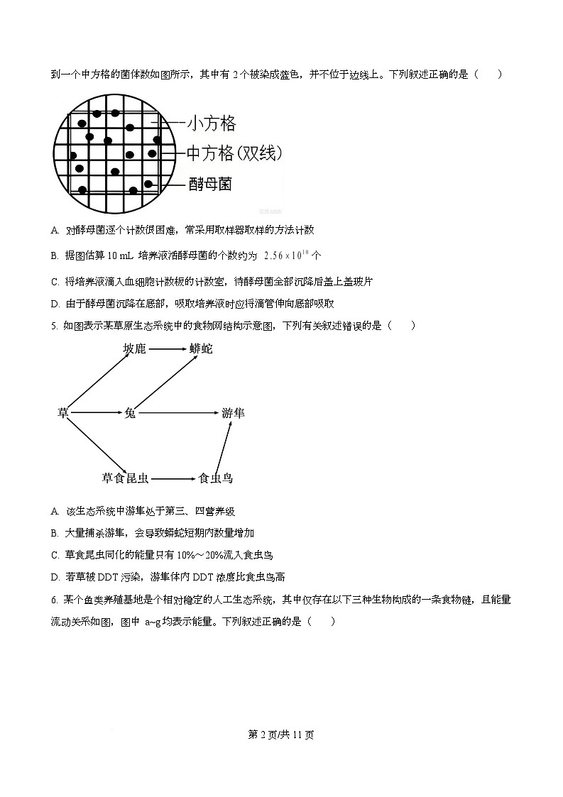 湖南省长沙市开福区湖南省长沙市第一中学2025-2026学年高二上学期12月月考生物试题（原卷版）第2页