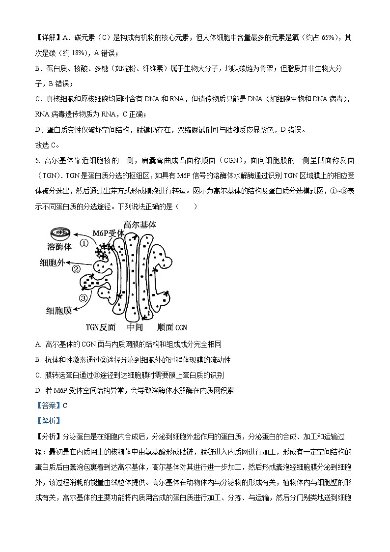 湖南省长沙市麓山共同体学校2025-2026学年高一上学期12月学情检测生物试卷 Word版含解析第3页