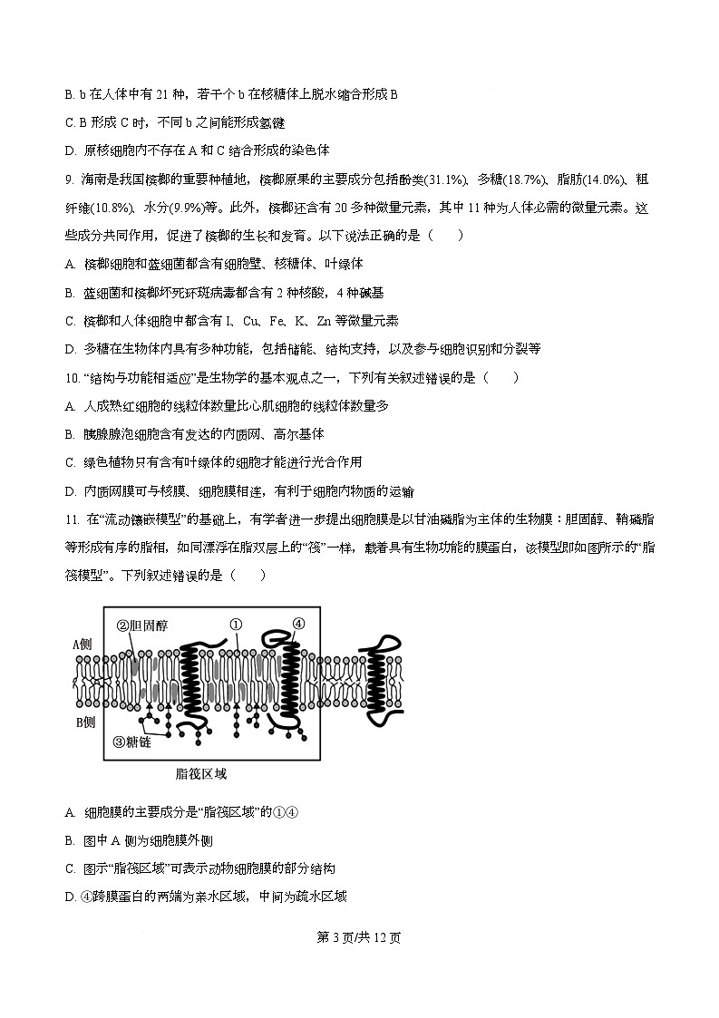 四川省广安市华蓥市四川省华蓥中学2025-2026学年高一上学期12月月考生物试题（原卷版）第3页