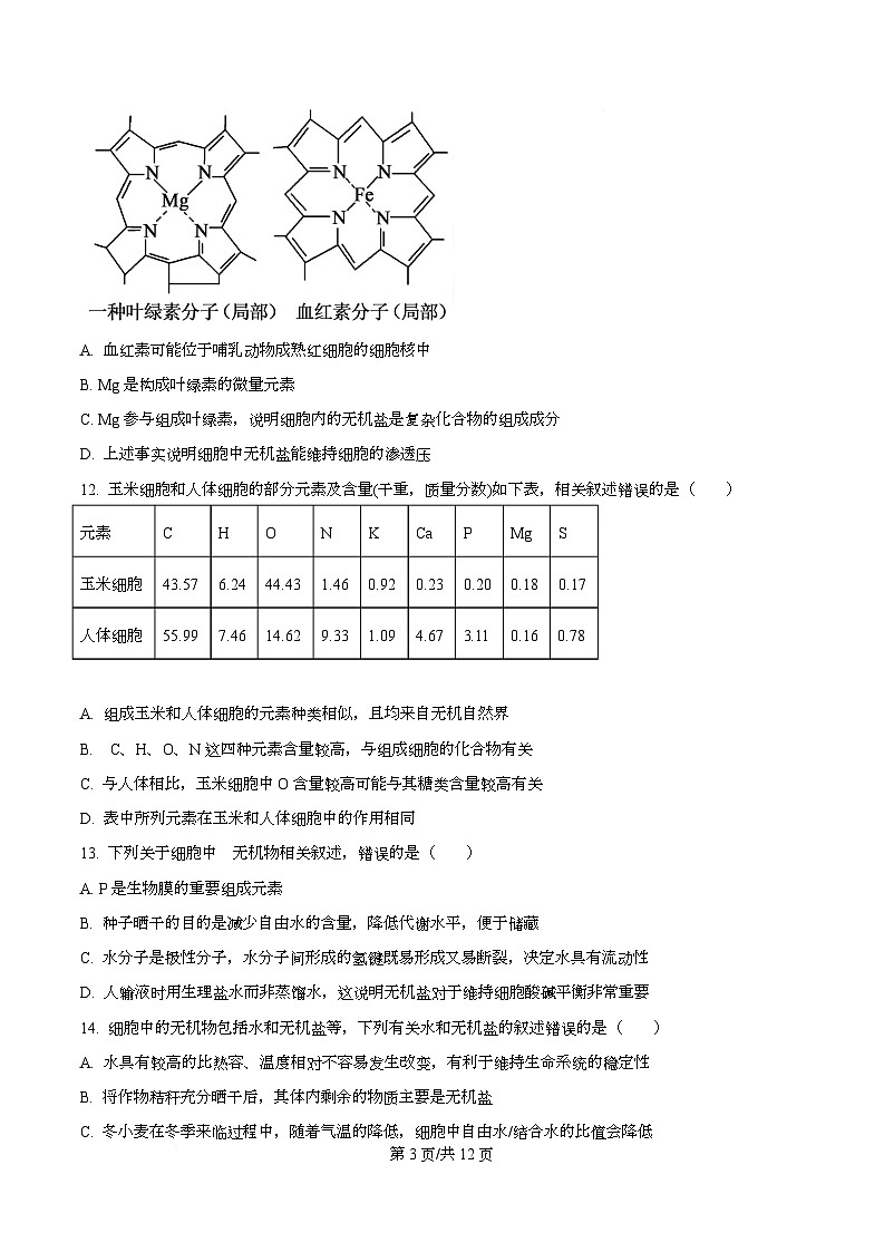 重庆市沙坪坝区重庆市第八中学2025-2026学年高一上学期12月月考生物试题（原卷版）第3页