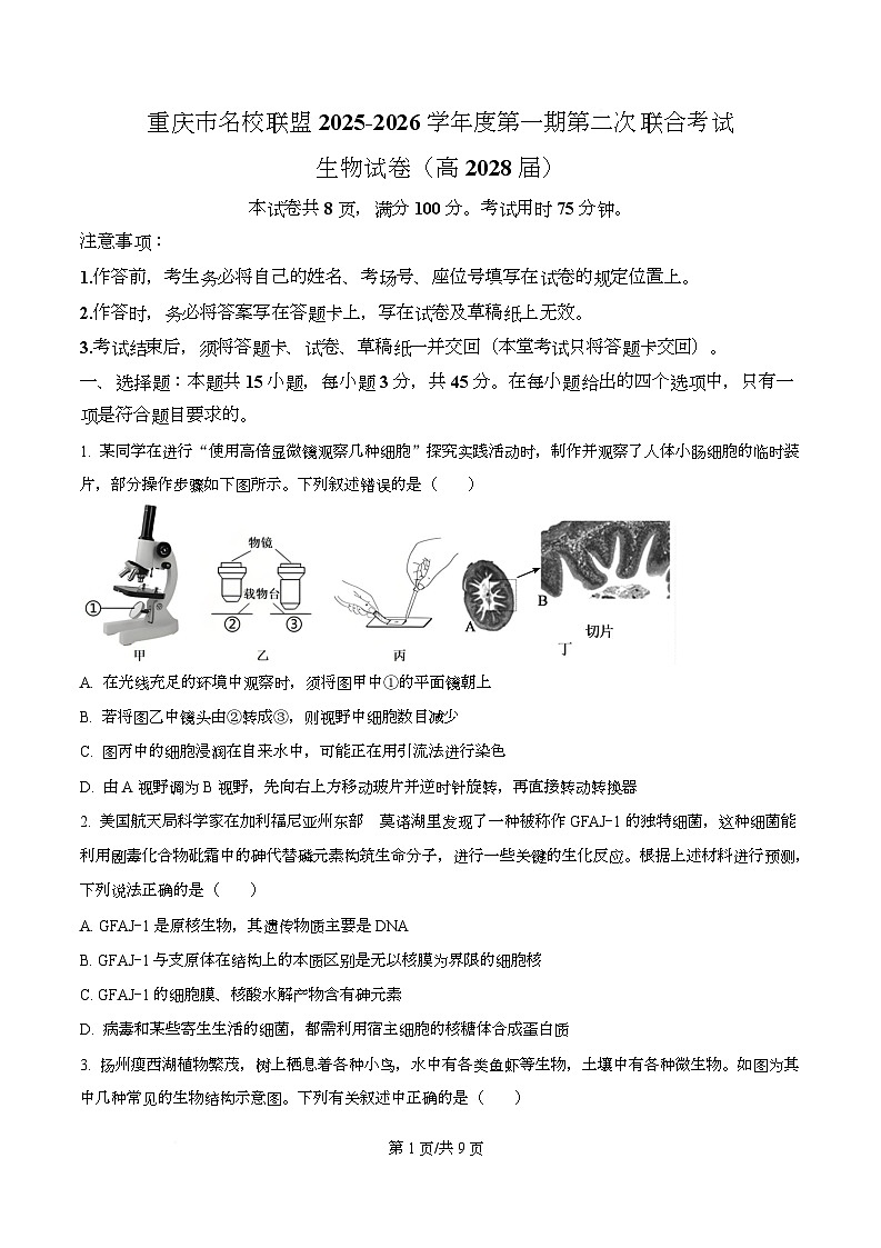 重庆市名校联盟2025-2026学年高一上学期12月月考生物试题（原卷版）第1页
