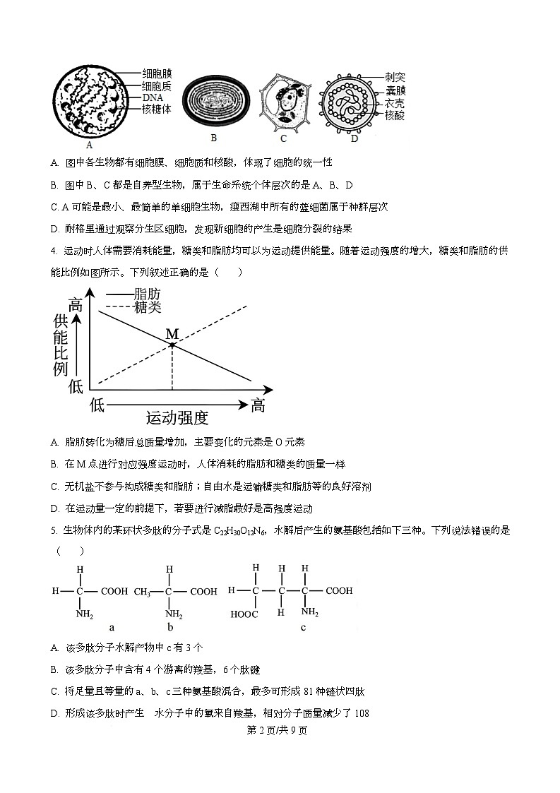 重庆市名校联盟2025-2026学年高一上学期12月月考生物试题（原卷版）第2页