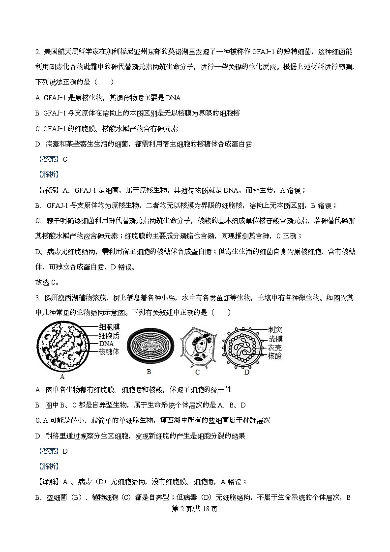 重庆市名校联盟2025-2026学年高一上学期12月月考生物试题 Word版含解析第2页