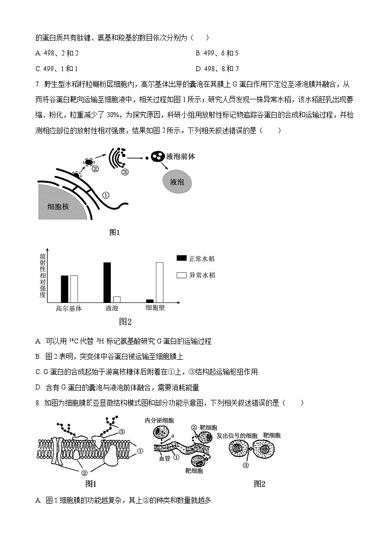 重庆市杨家坪中学2025-2026学年高一上学期第二次月考生物试题（原卷版）第2页