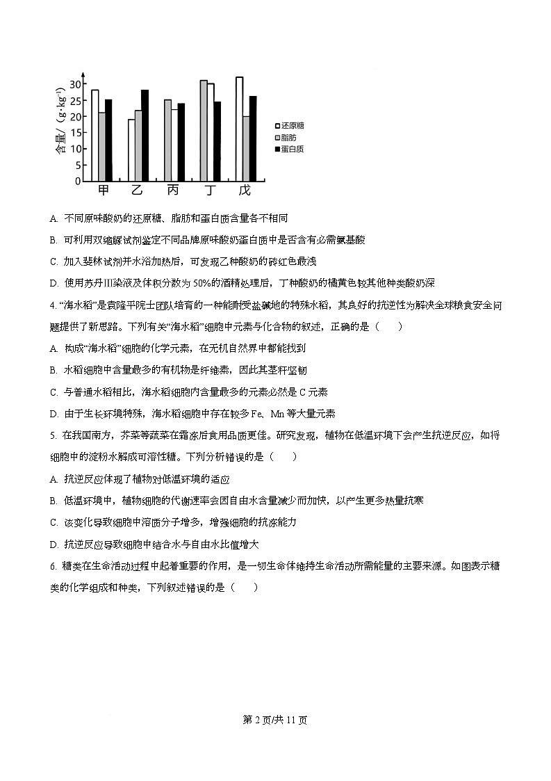 重庆市长寿区重庆市长寿中学2025-2026学年高一上学期12月月考生物试题（原卷版）第2页