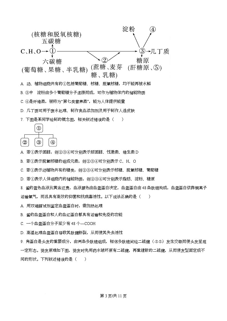 重庆市长寿区重庆市长寿中学2025-2026学年高一上学期12月月考生物试题（原卷版）第3页
