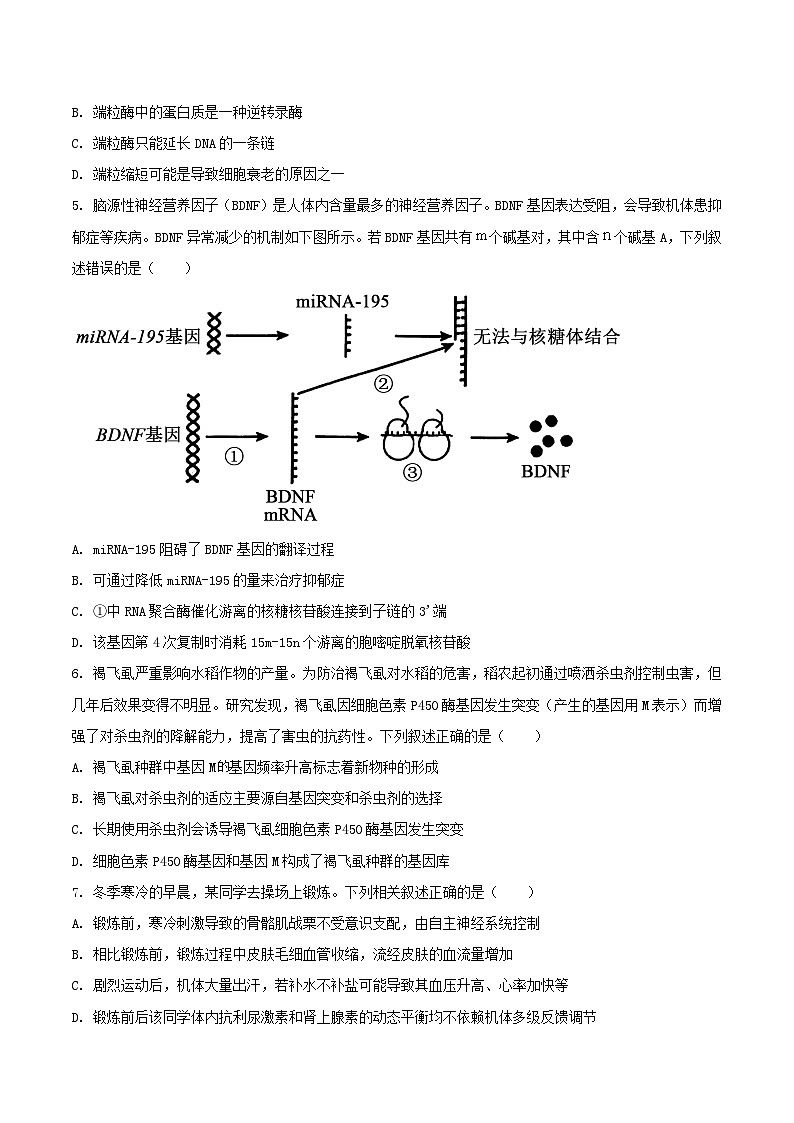 河北省沧州市2026届高三上学期12月教学质量监测（一模）生物试卷（Word版附答案）第2页