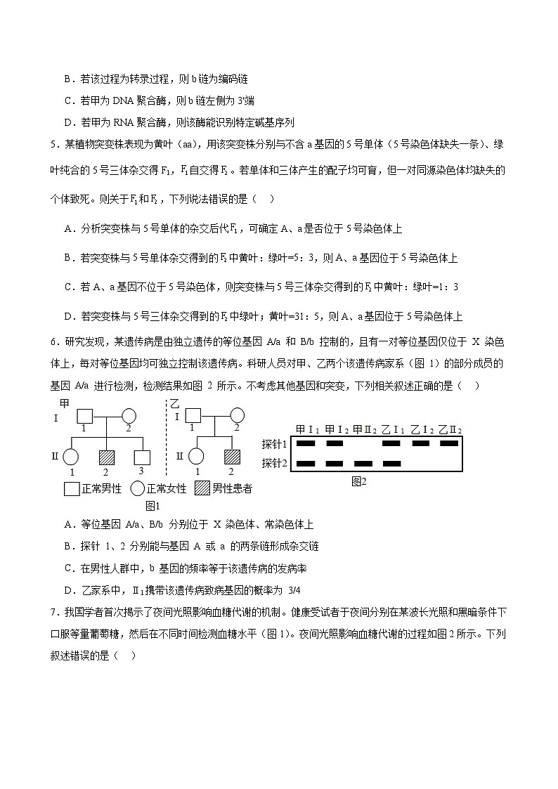河南省安鹤新联盟2026届高三上学期12月联考生物试卷（Word版附答案）第2页