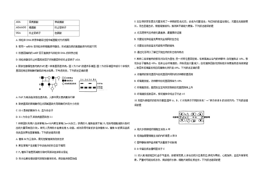 河南省九师联盟2026届高三上学期12月第四次质量检测生物试卷（Word版附解析）第2页