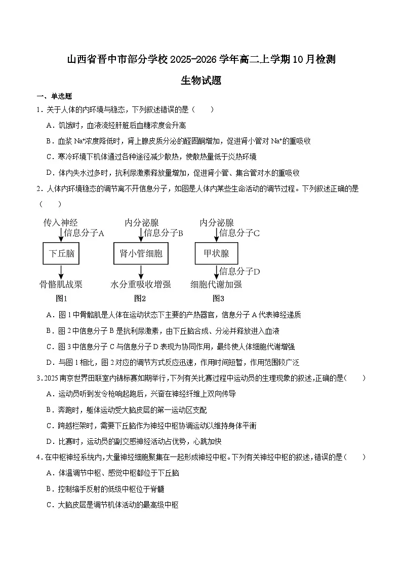 山西省晋中市部分学校2025-2026学年高二上学期10月月考生物试题（Word版附答案）第1页