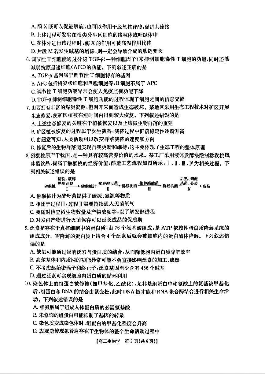 2025-2026学年广西高三上学期12月生物试题无答案第2页