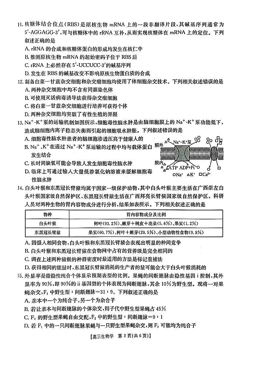 2025-2026学年广西高三上学期12月生物试题无答案第3页