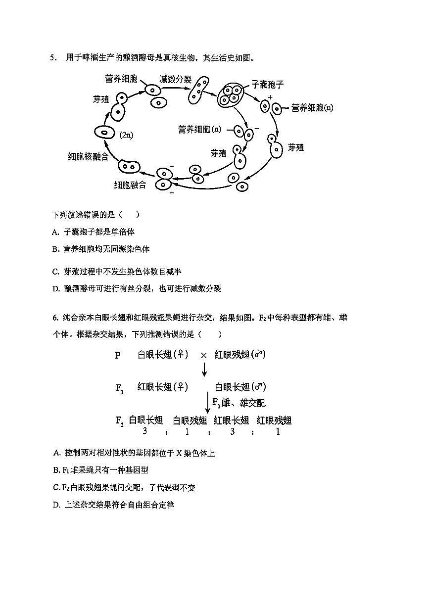2025北京十五中高三上12月月考生物试卷第2页