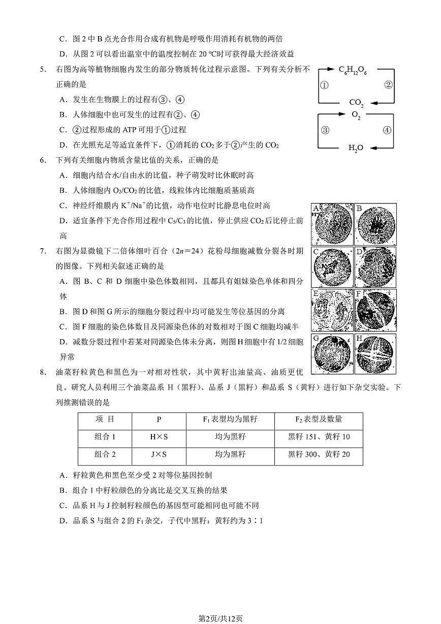 2025北京二中高三（上）期中生物（教师版）试卷第2页