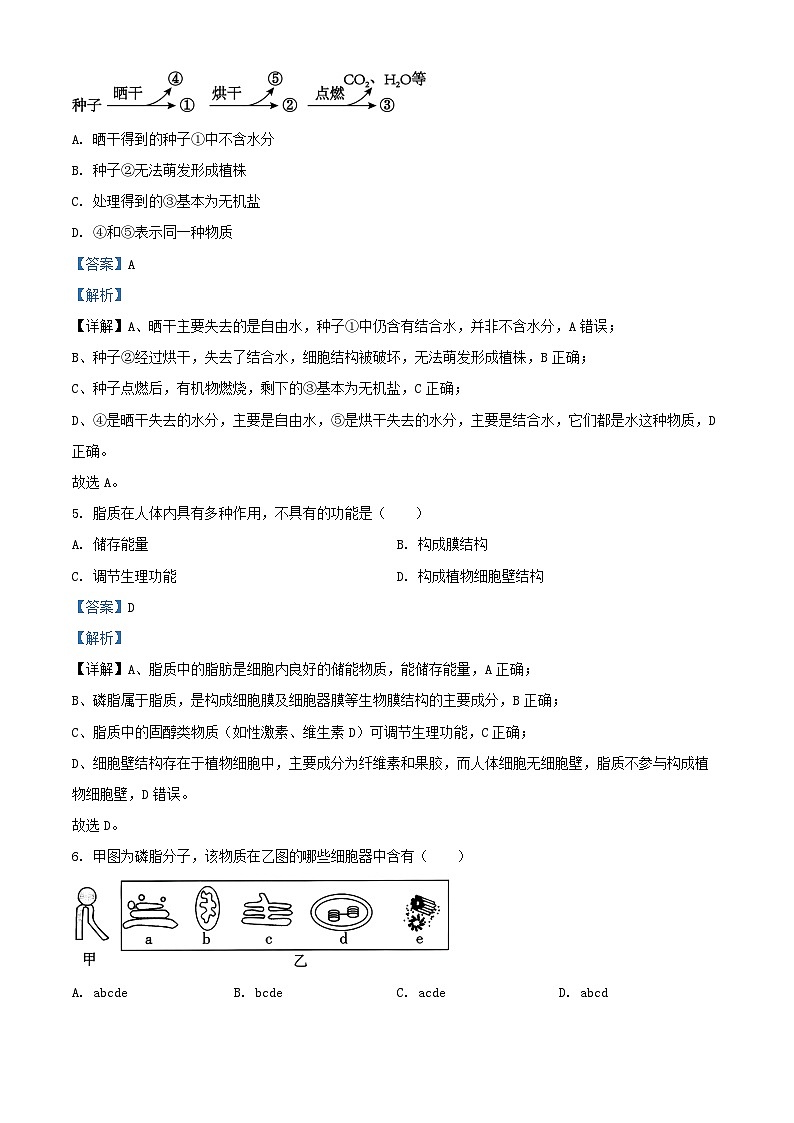 浙江省2025_2026学年高一生物上学期10月月考试题含解析第2页