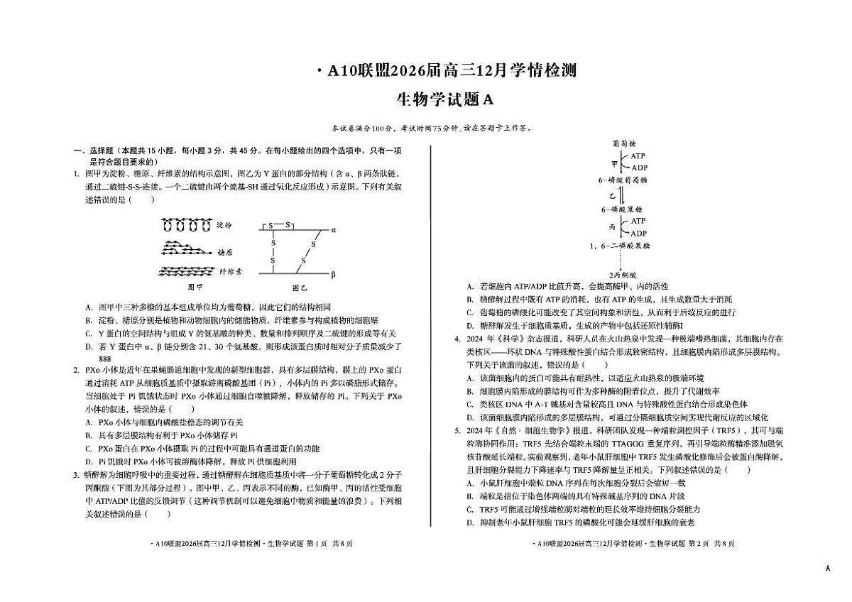 安徽省A10联盟2025-2026学年高三上学期12月学情检测生物A试题（含答案）第1页