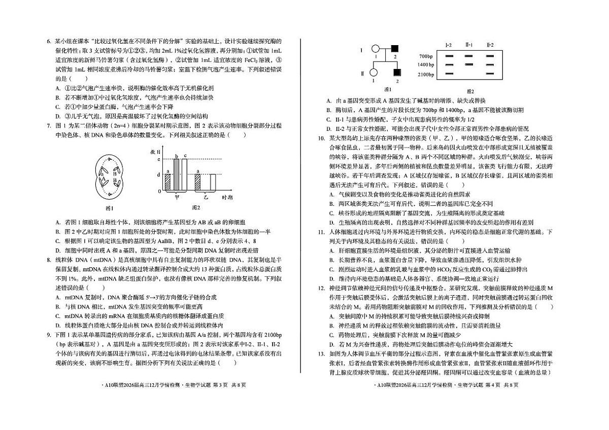 安徽省A10联盟2025-2026学年高三上学期12月学情检测生物A试题（含答案）第2页