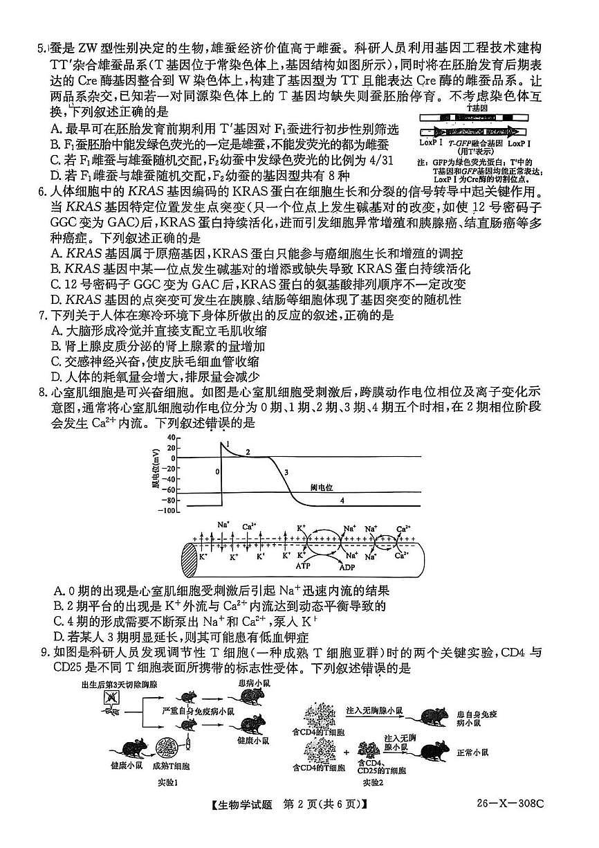 河南省2026届高三年级TOP二十名校调研考试二生物第2页