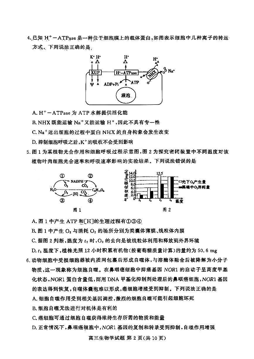 山东高考质量测评联盟大联考·高三12月联考生物学试题第2页