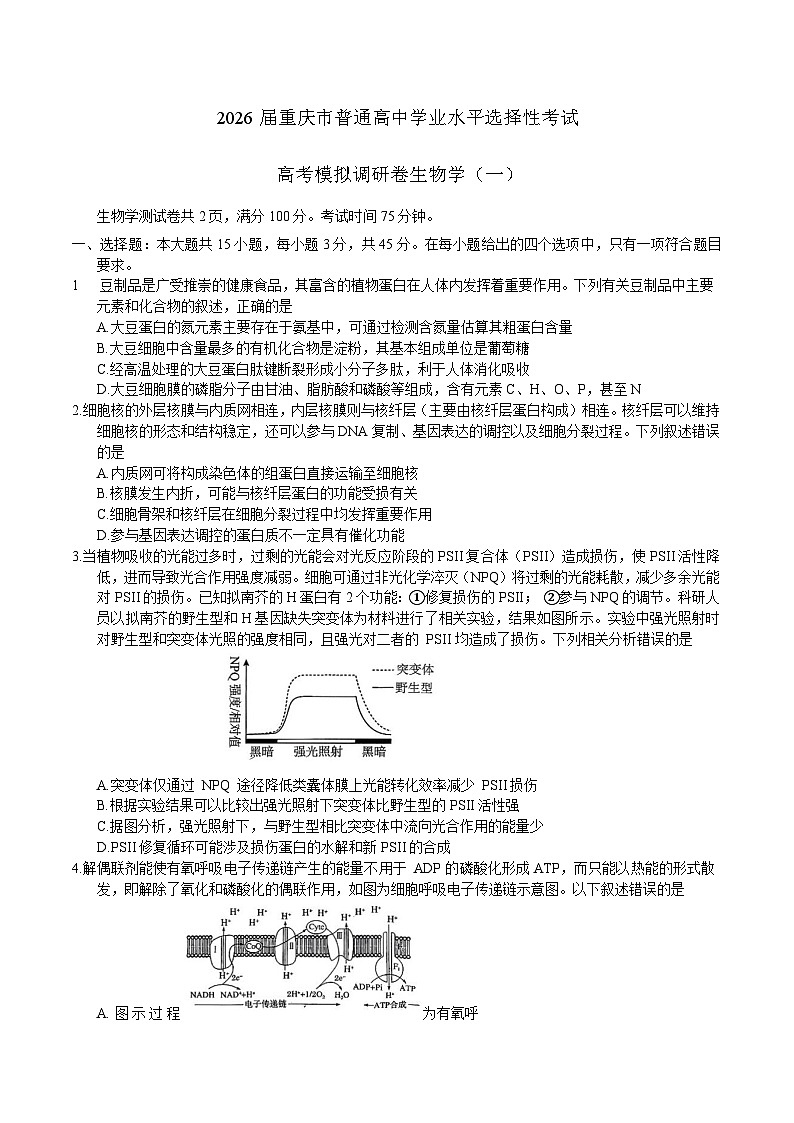 重庆市2026届高三上学期12月高考模拟调研考试（一）生物试卷第1页