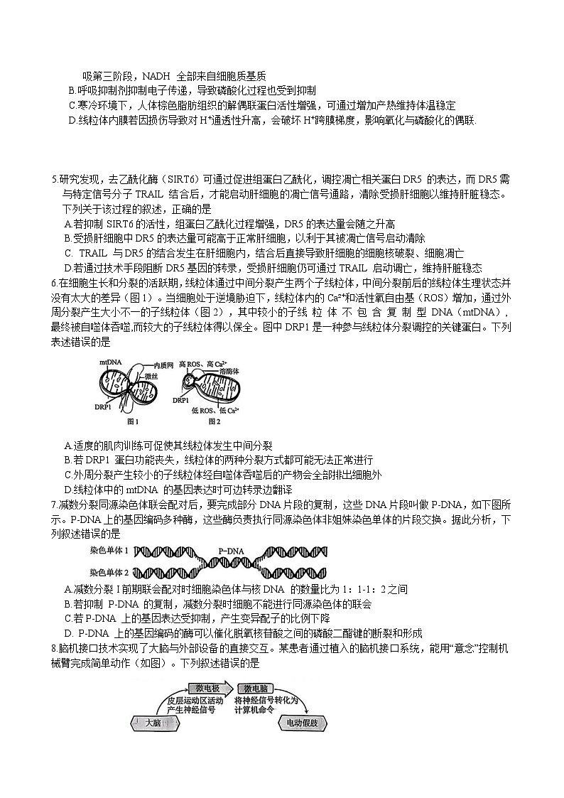 重庆市2026届高三上学期12月高考模拟调研考试（一）生物试卷第2页