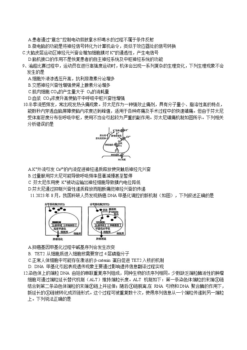 重庆市2026届高三上学期12月高考模拟调研考试（一）生物试卷第3页