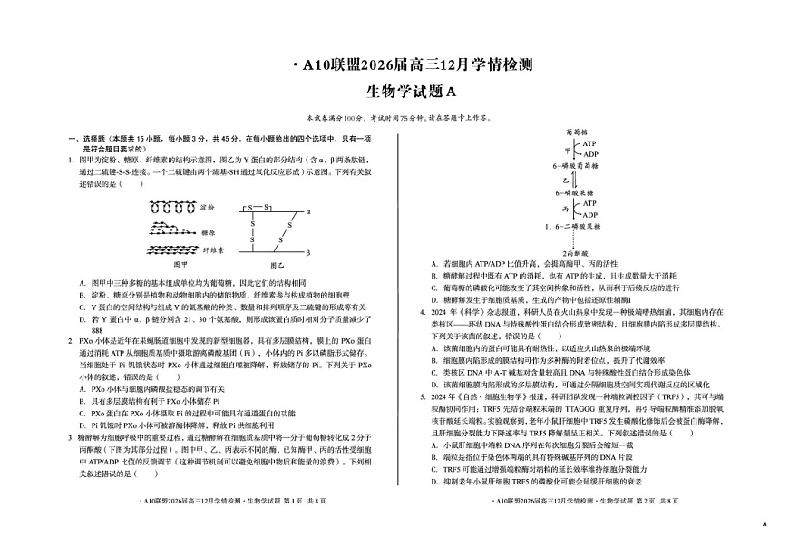安徽省A10联盟2025-2026学年高三上学期12月学情检测生物A试题（含答案）第1页