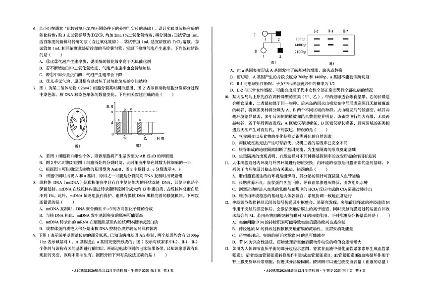 安徽省A10联盟2025-2026学年高三上学期12月学情检测生物A试题（含答案）第2页