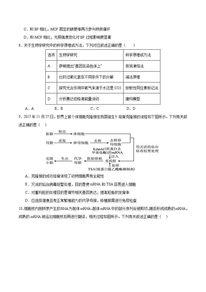 广东省五校2026届高三上学期11月联考（三）生物试卷(含答案）第3页